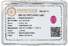 Lab Report