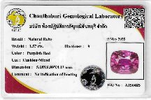 Lab Report