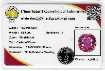 Lab Report