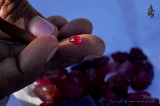 A parcel of rough rubies being offered at Pan-Ma.