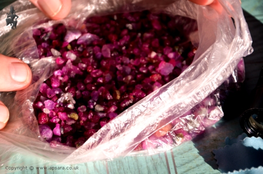 A bag or ruby crystals at the Panchan Gem Market.